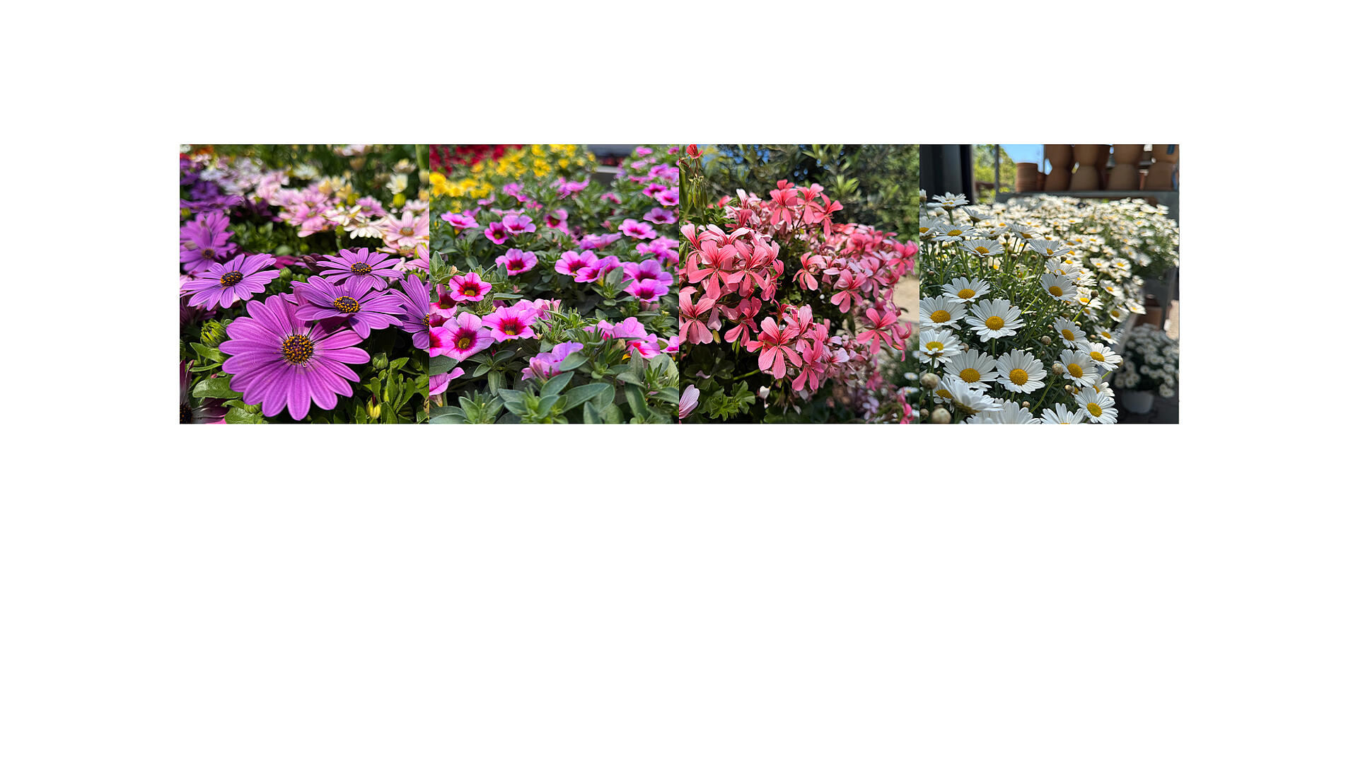 slide_image