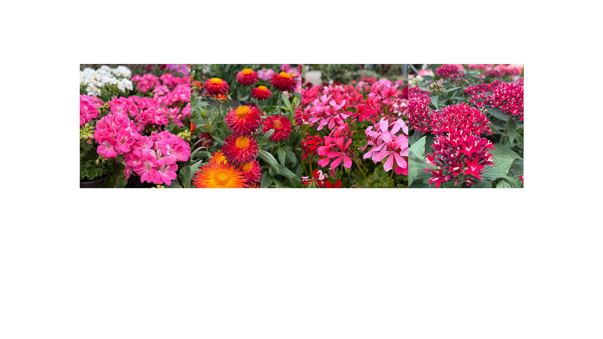 slide_image